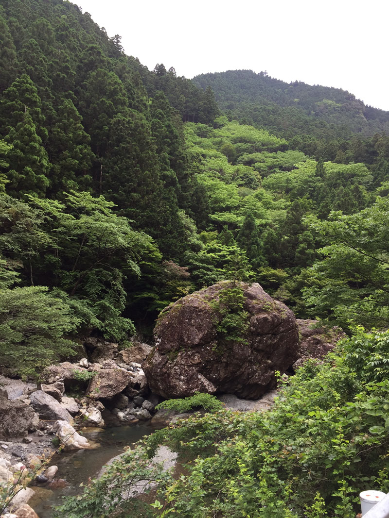 剣山スーパー林道