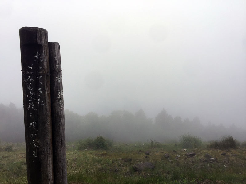 霧雨の剣山スーパー林道