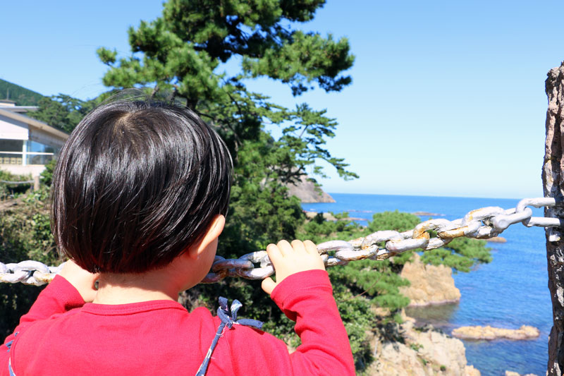 城崎温泉へ家族旅行 ２日目 城崎マリンワールド しまとものブログ