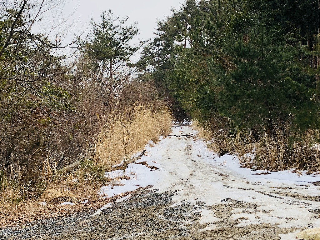 引き返す道も雪